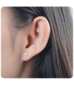 CZ Stones Stud Earring STS-2965